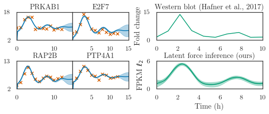 ../../_images/notebooks_nonlinear_variational_10_2.png